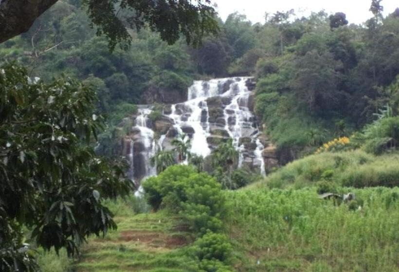 חדר משפחתי, Silent Nest