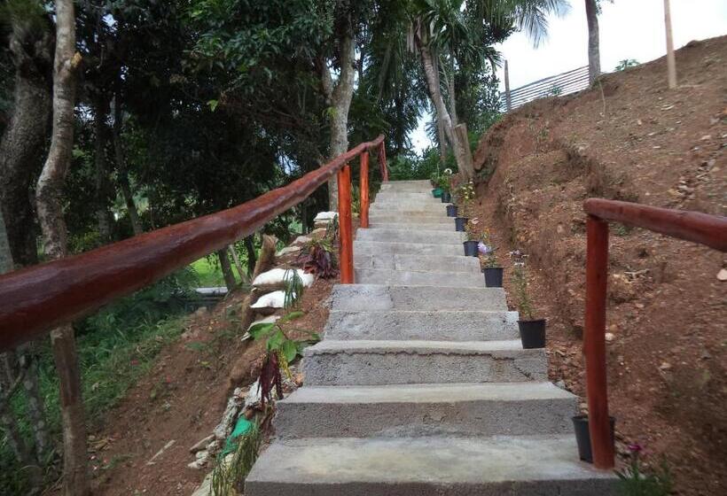 חדר משפחתי, Silent Nest