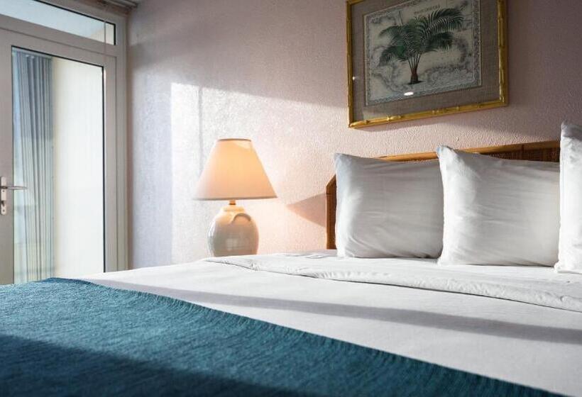 استودیوی لوکس, Esj Towers By Chana