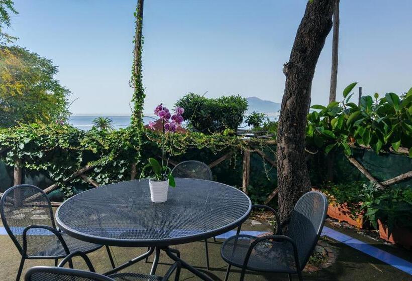 带1个卧室的带海景的公寓, Residence Le Axidie