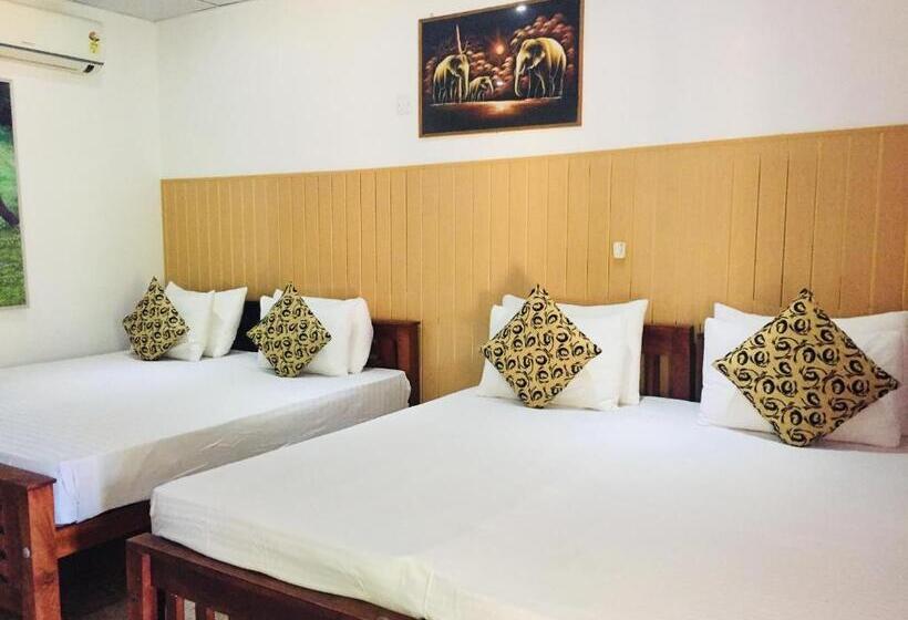 חדר משפחתי, Thisara Guest House