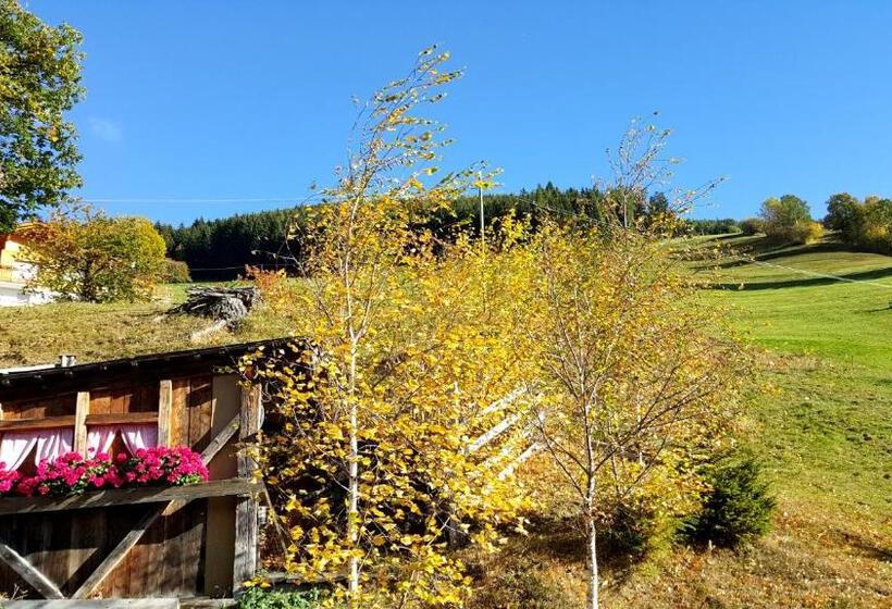 Номер Стандарт с Балконом, Pension Verdinserhöhe