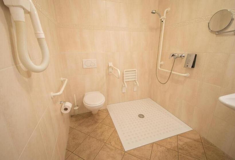 Pokój Standard Jednoosobowy, Aux Tanneries De Wiltz