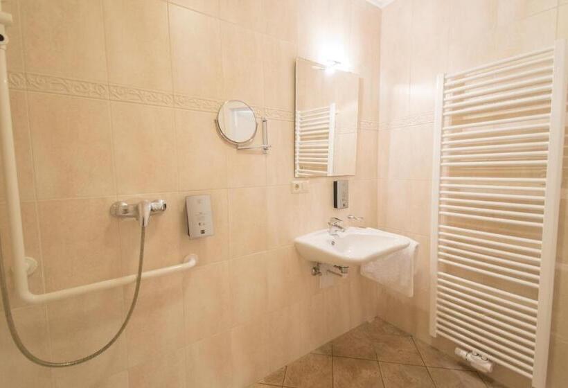 Pokój Standard Jednoosobowy, Aux Tanneries De Wiltz