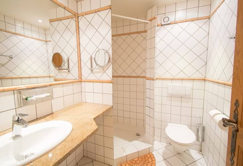 Pokój Standard, Aux Tanneries De Wiltz