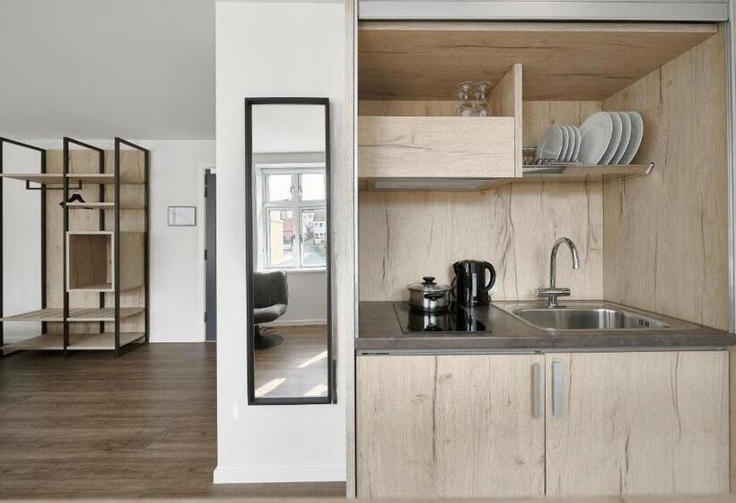 شقة غرفة واحدة, Garni