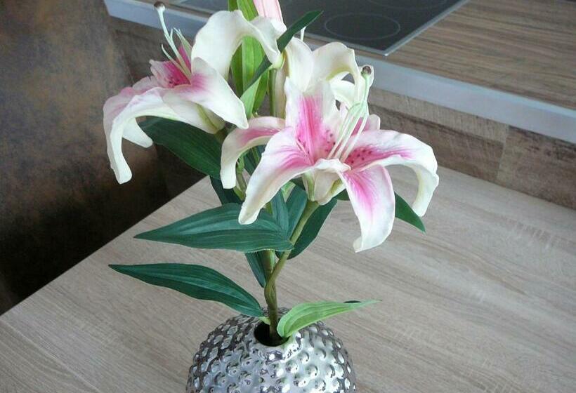 带阳台两卧公寓, Haus Drei Tannen