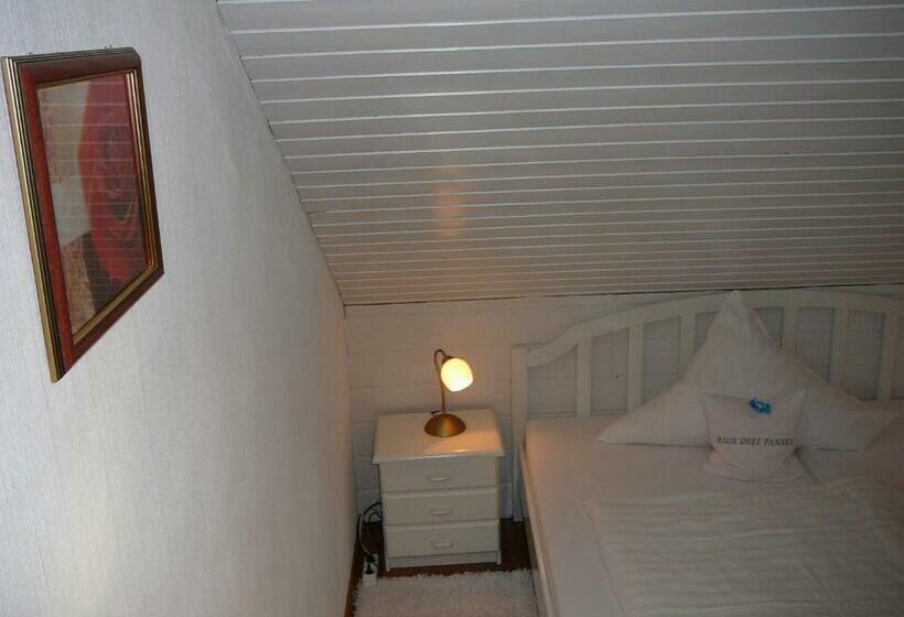 带阳台两卧公寓, Haus Drei Tannen