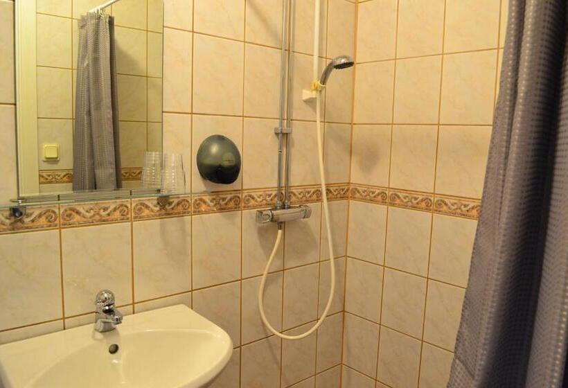 Четырехместный Номер Стандарт, L Skinnargården