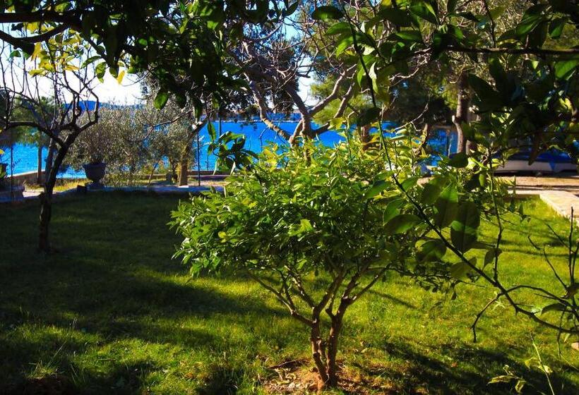 סטודיו סטנדרט עם מרפסת, Pansion Zlatna Ribica