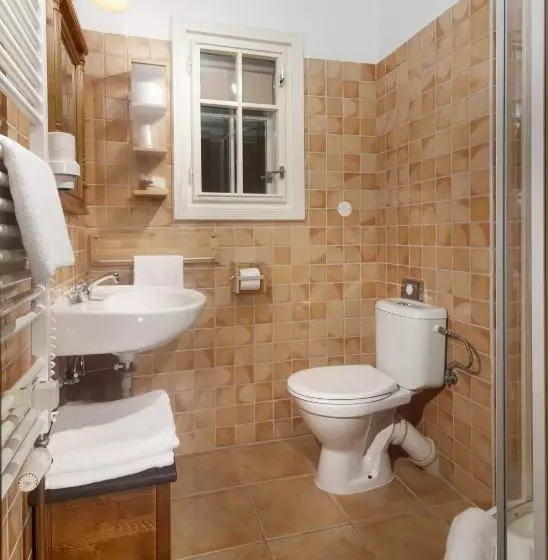 Standard-huone, Pod Jasany