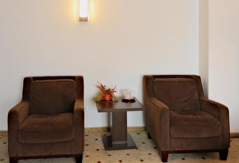 高级大房间, Premier