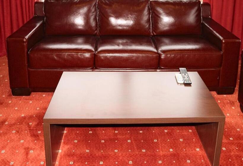 带1个卧室的带阳台的公寓, Premier