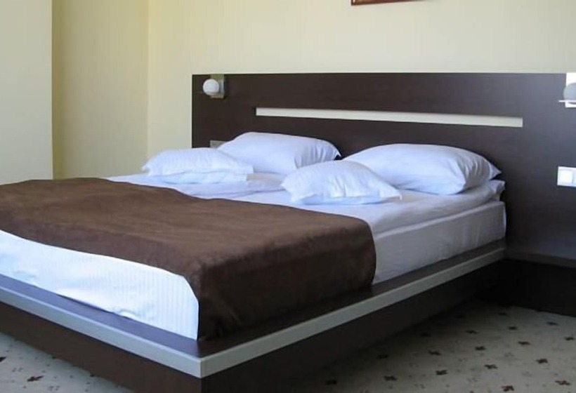 高级大房间, Premier