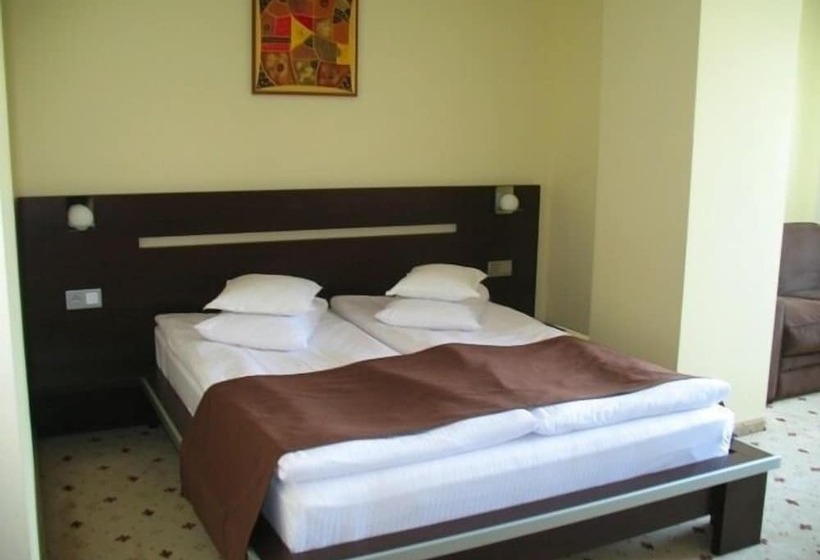 高级大房间, Premier