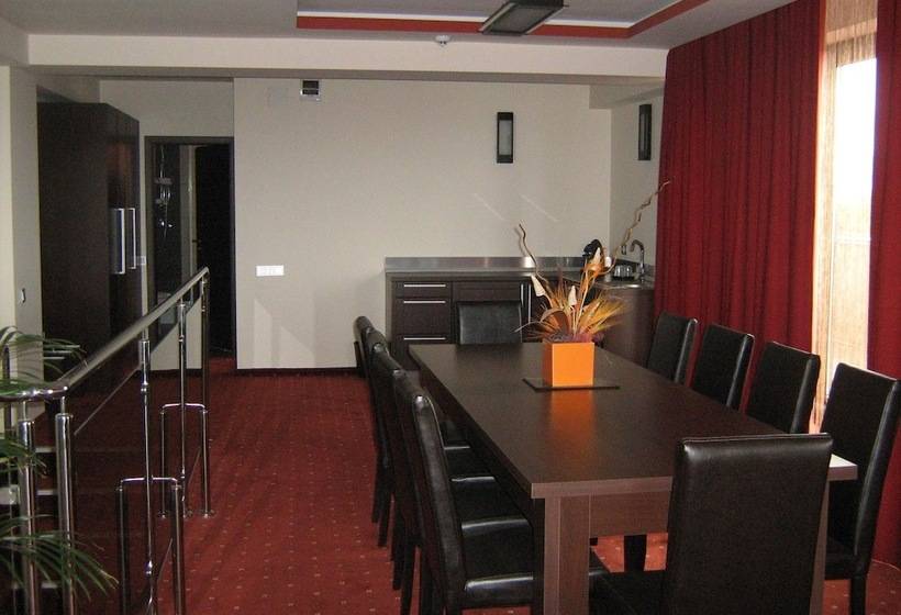 带1个卧室的带阳台的公寓, Premier