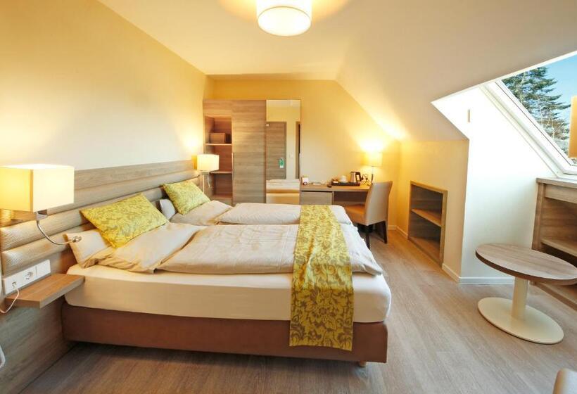 اتاق استاندارد, Saint Fiacre