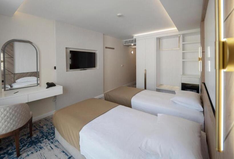 اتاق استاندارد, Tara Becici