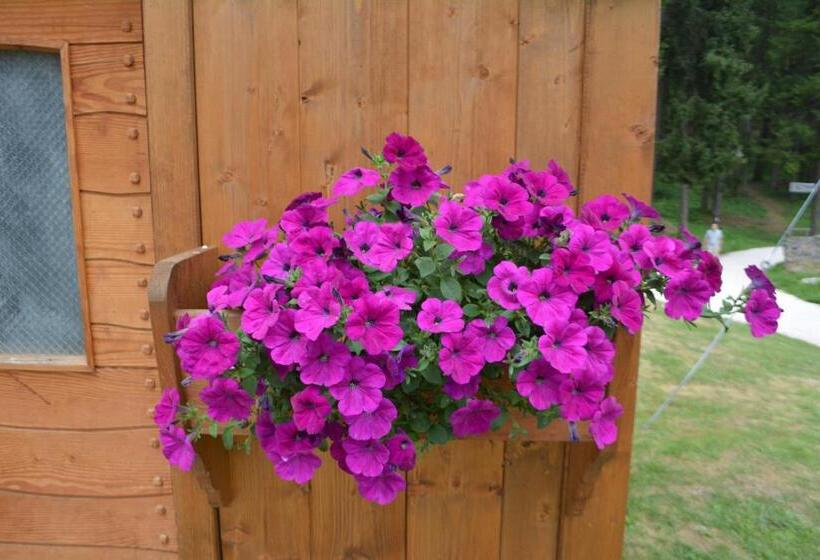 标准间, Chalet Al Lago