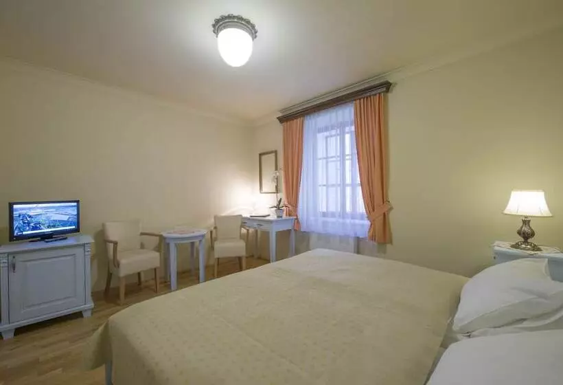 Standard Room, Cerny Slon