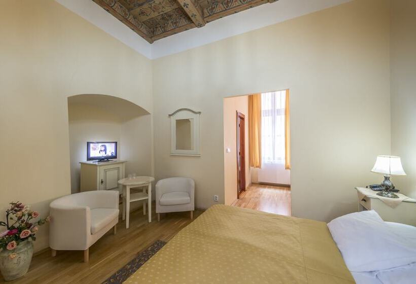 Standard Room, Cerny Slon