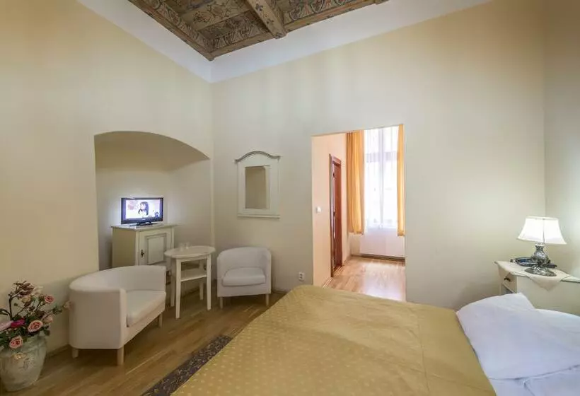 Standard Room, Cerny Slon