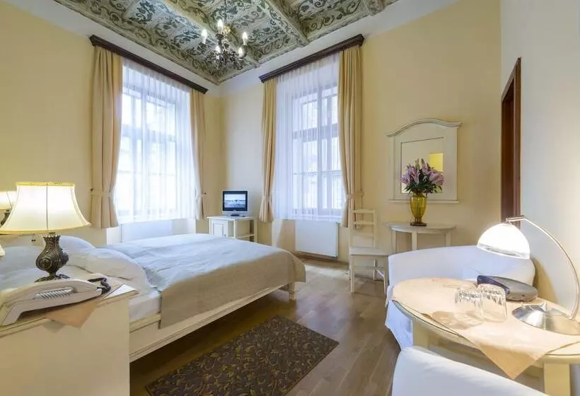Standard Room, Cerny Slon