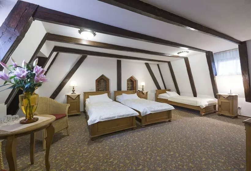 Standard Triple Room, Cerny Slon