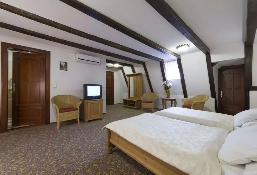 Standard Triple Room, Cerny Slon