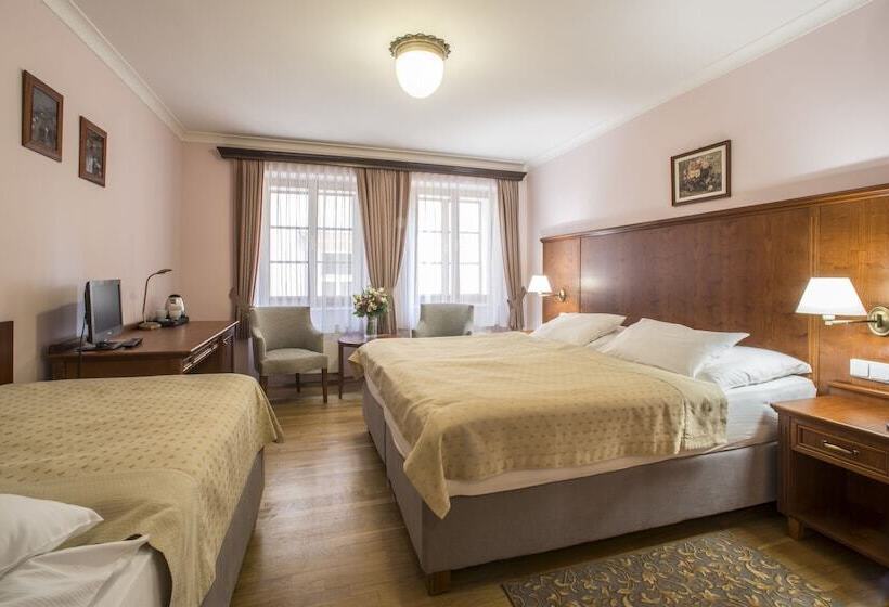 Standard Triple Room, Cerny Slon