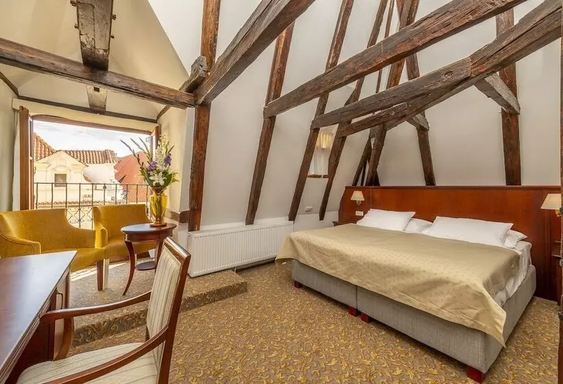 Standard Triple Room, Cerny Slon