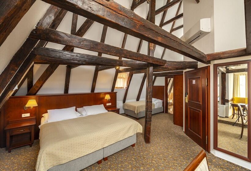 Standard Triple Room, Cerny Slon