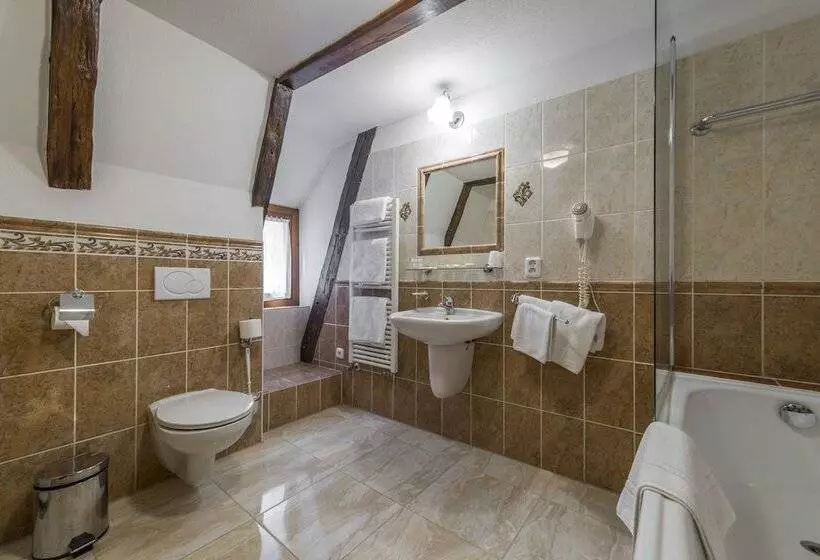 Standard Triple Room, Cerny Slon