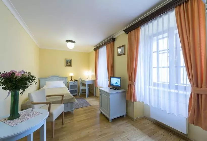 Standard Single Room, Cerny Slon