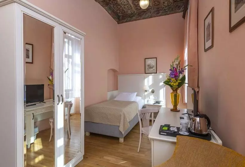 Standard Single Room, Cerny Slon