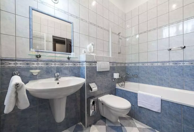 Standard Single Room, Cerny Slon