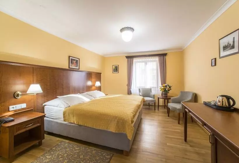 Standard Room, Cerny Slon