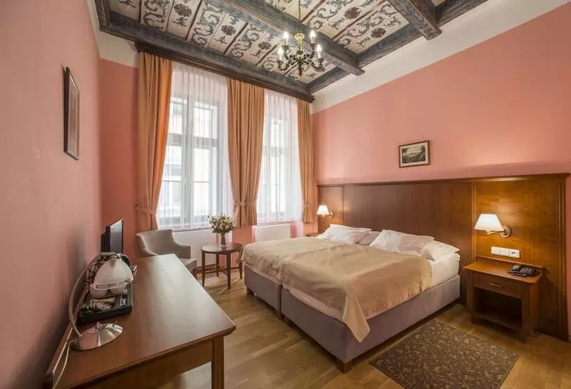 Standard Room, Cerny Slon