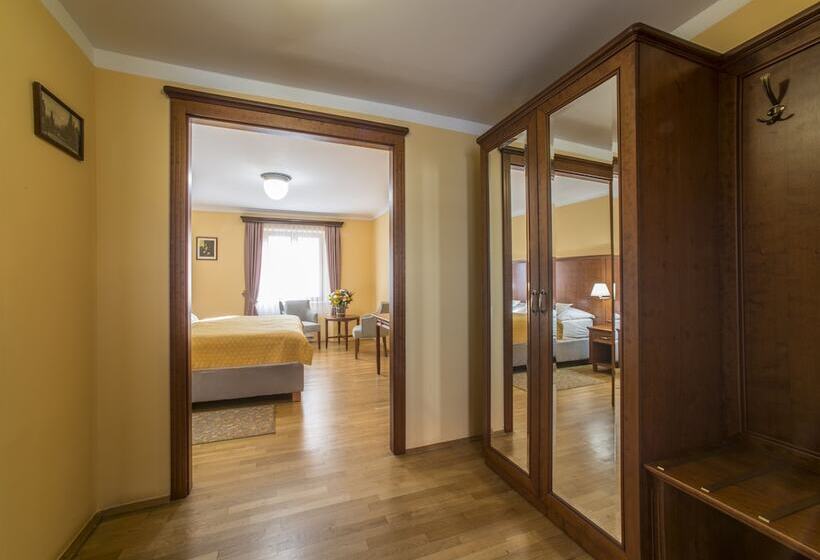 اتاق استاندارد, Cerny Slon