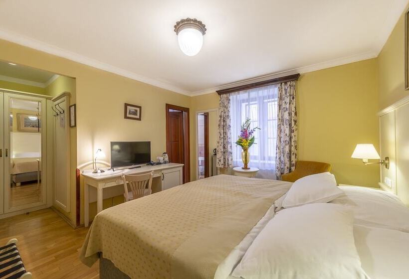 Standard Room, Cerny Slon