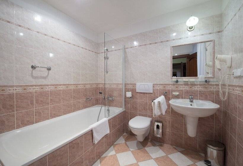 اتاق استاندارد, Cerny Slon