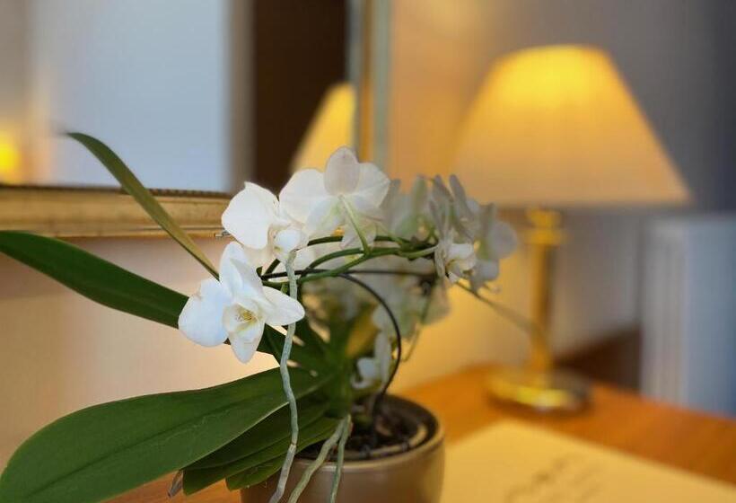 Номер Стандарт, Eletto