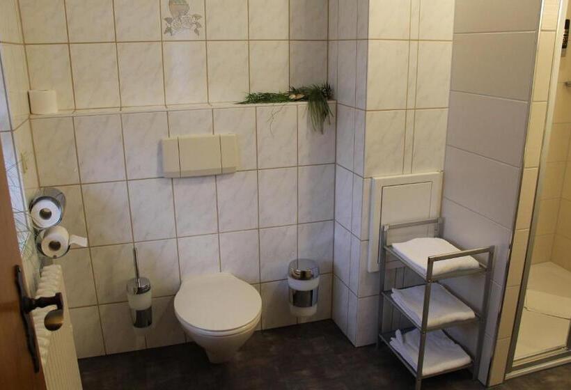 Номер Стандарт, Engel