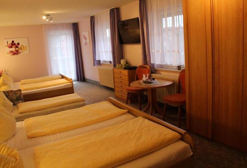 Номер Стандарт, Engel