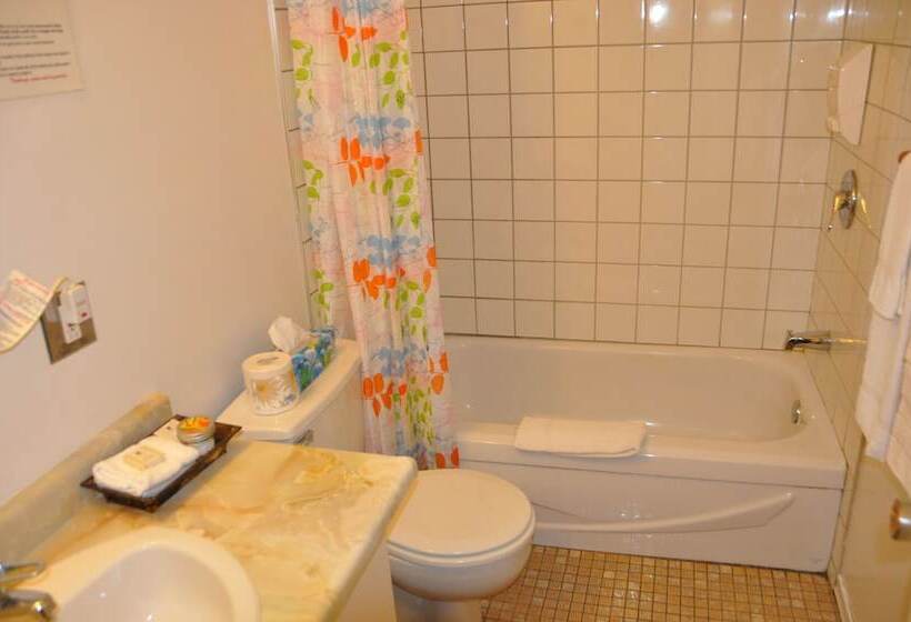 高级房间带漩涡浴缸, Le Boisé Du Lac