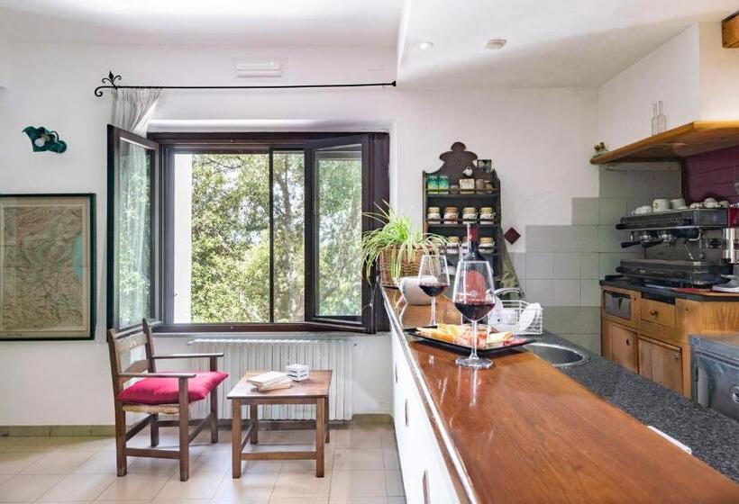 غرفة قياسية, S'enis Monte Maccione