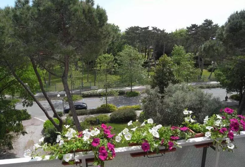 اتاق عادی, Moreri