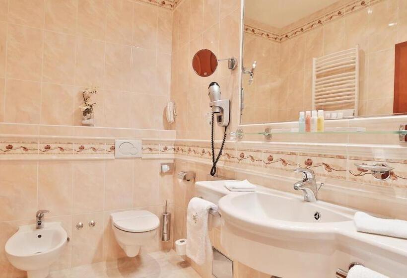 Номер Superior Вид на Город, Olympia Wellness