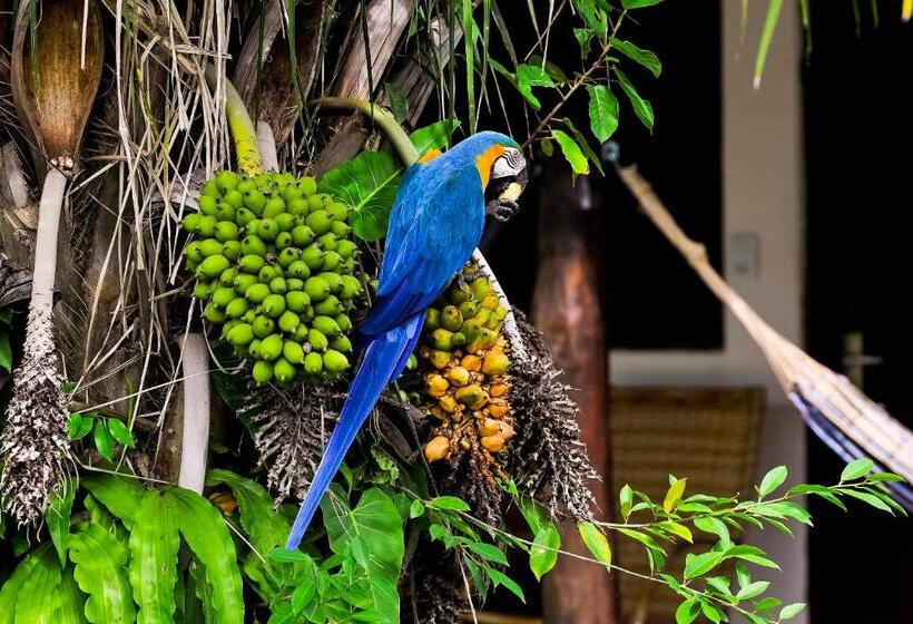 带1个卧室的公寓, Pousada Piuval