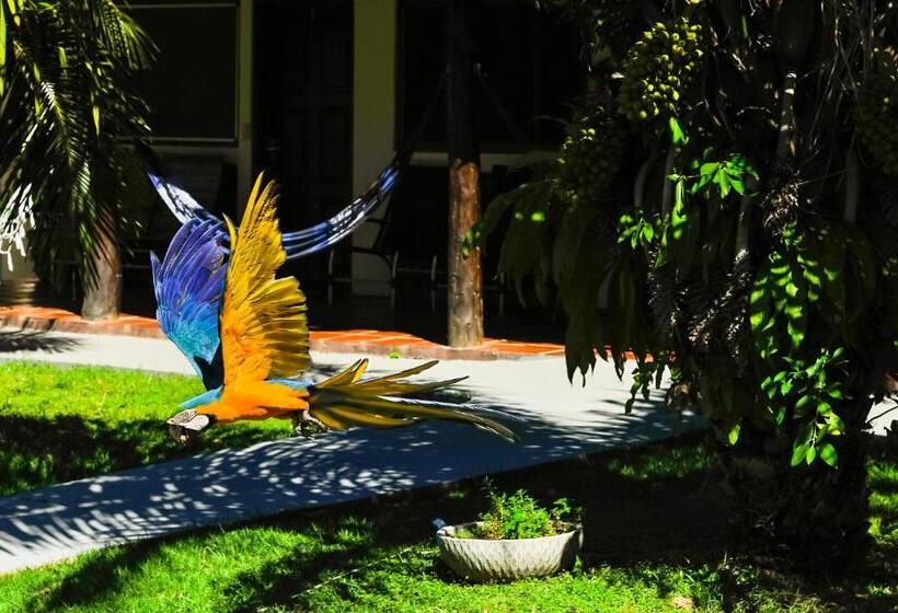 带1个卧室的公寓, Pousada Piuval